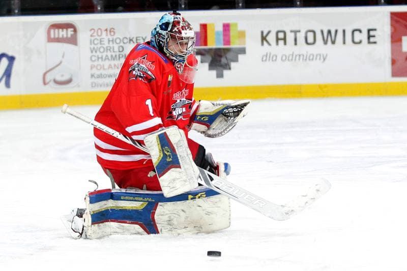 Ice Hockey. Friendly Match. Poland - Stars of PHL. 06.02.2016