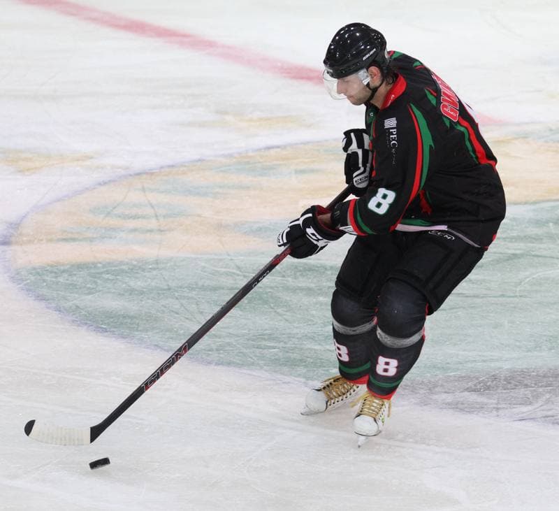 Ice Hockey. Polska Hokej Liga. HC GKS Katowice - GKS Tychy. 11.01.2015