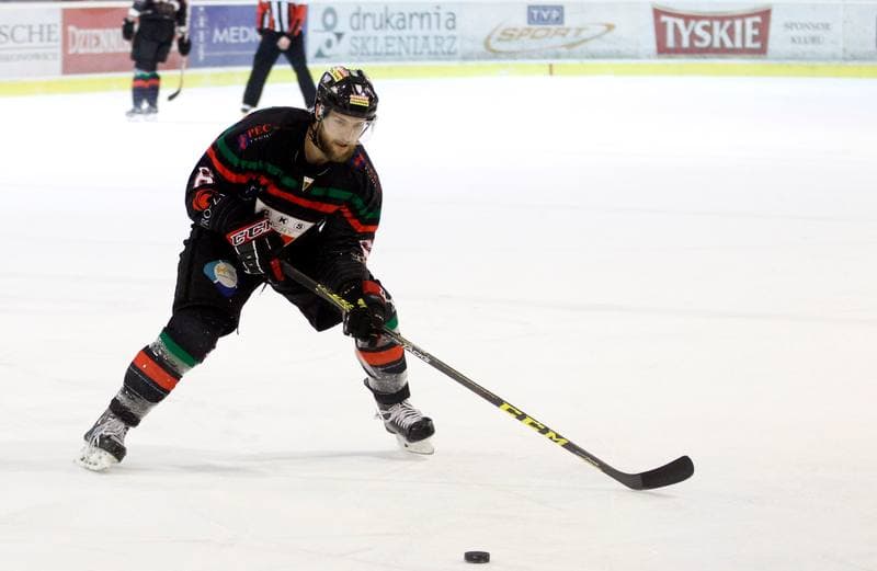 Ice Hockey. Polish Hockey League. Comarch Cracovia - GKS Tychy. 22.03.2016