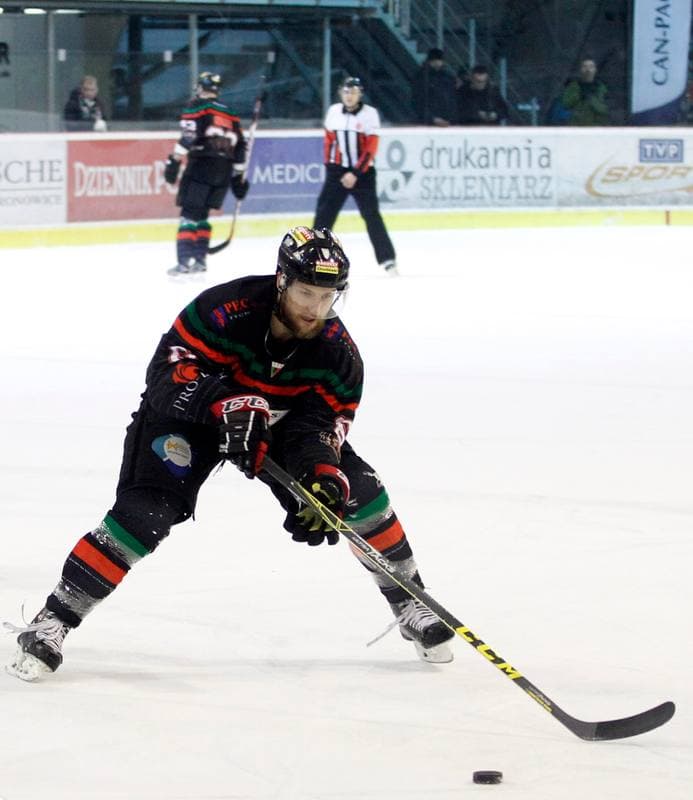 Ice Hockey. Polish Hockey League. Comarch Cracovia - GKS Tychy. 22.03.2016