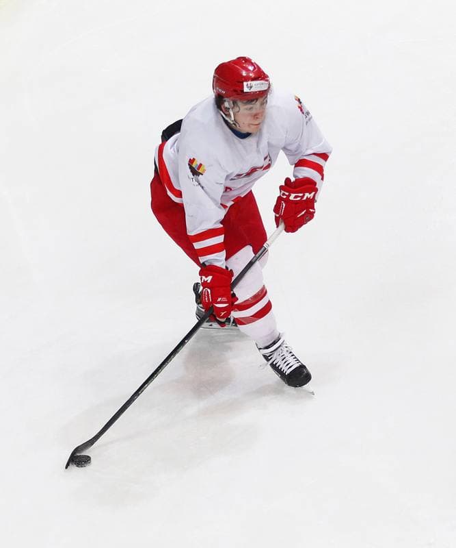 Ice Hockey. Poland national team. Training. 13.04.2016