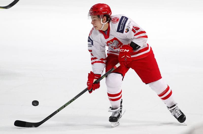 Ice Hockey. International Friendly Match. Poland - Lithuania. 14.04.2016