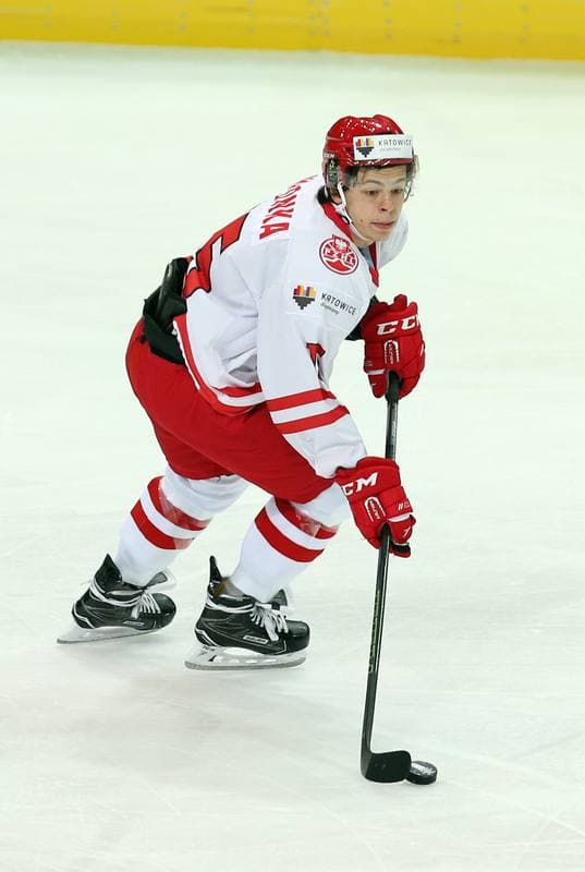 Ice Hockey. World Championship Division 1A. Italy - Poland. 23.04.2016