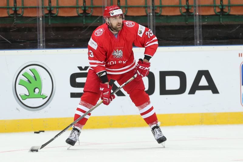 Ice Hockey. World Championship Division 1A. Poland - Korea. 24.04.2016