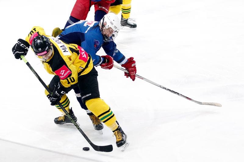 Ice Hockey. PHL. KH Tauron GKS Katowice - SMS PZHL Sosnowiec. 13.01.2017