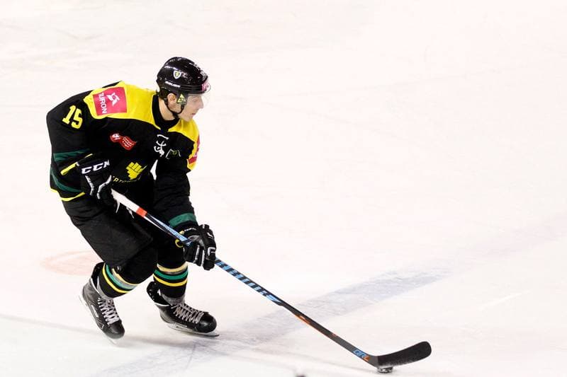 Ice Hockey. Polska Hokej Liga. SMS PZHL Sosnowiec - Tauron KH GKS Katowice. 31.01.2017