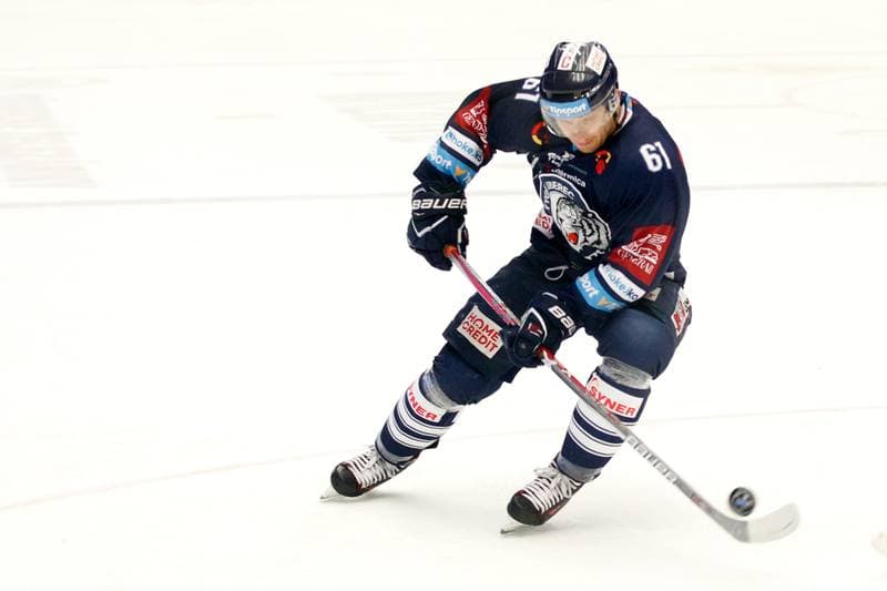 Ice Hockey. Tipsport Extraliga. Ocelari Trinec - Bili Tygri Liberec. 05.02.2017