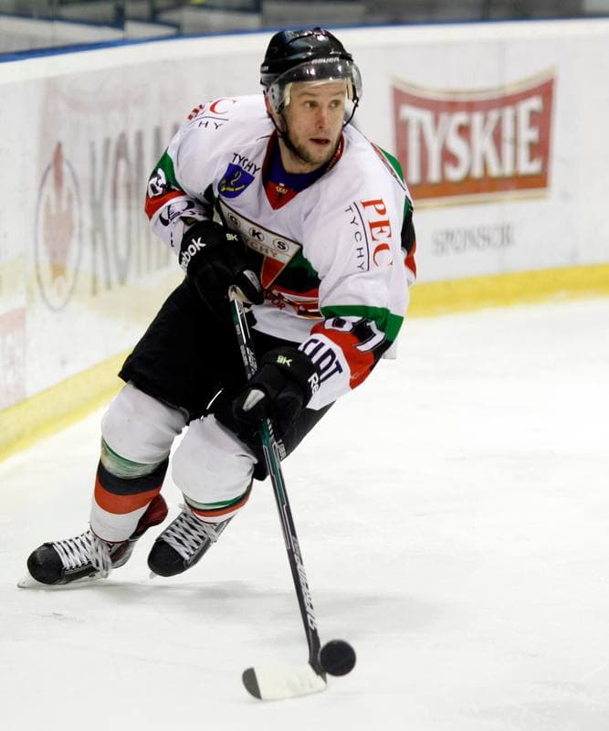 Ice Hockey. Polska Hokej Liga. GKS Tychy - Comarch Cracovia Krakow. 19.01.2014