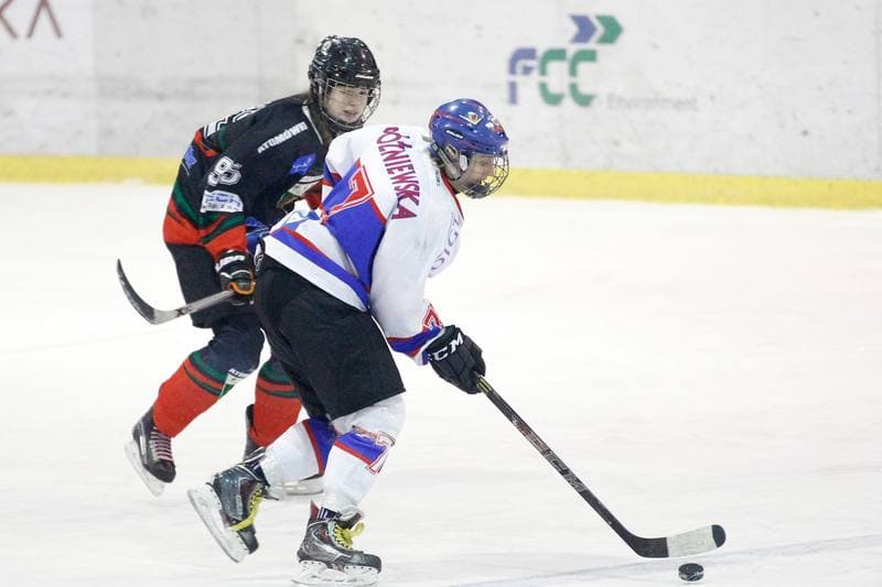 Ice Hockey. PLHK. Polonia Bytom - Atomowki Tychy. 27.01.2017
