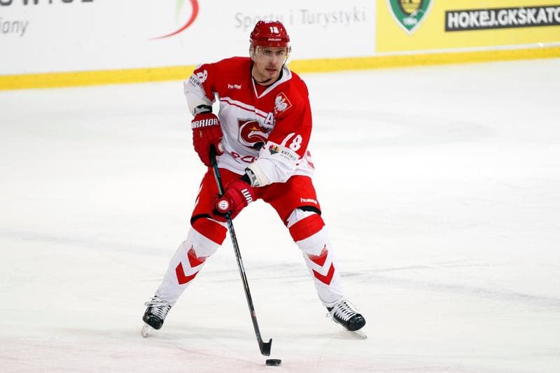 Ice Hockey. Euro Ice Hockey Challenge. Poland - Slovenia. 09.02.2017