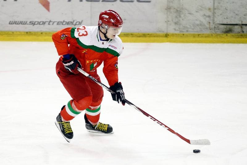 Ice Hockey. I Liga. Naprzod Janow - Zaglebie Sosnowiec. 12.03.2017