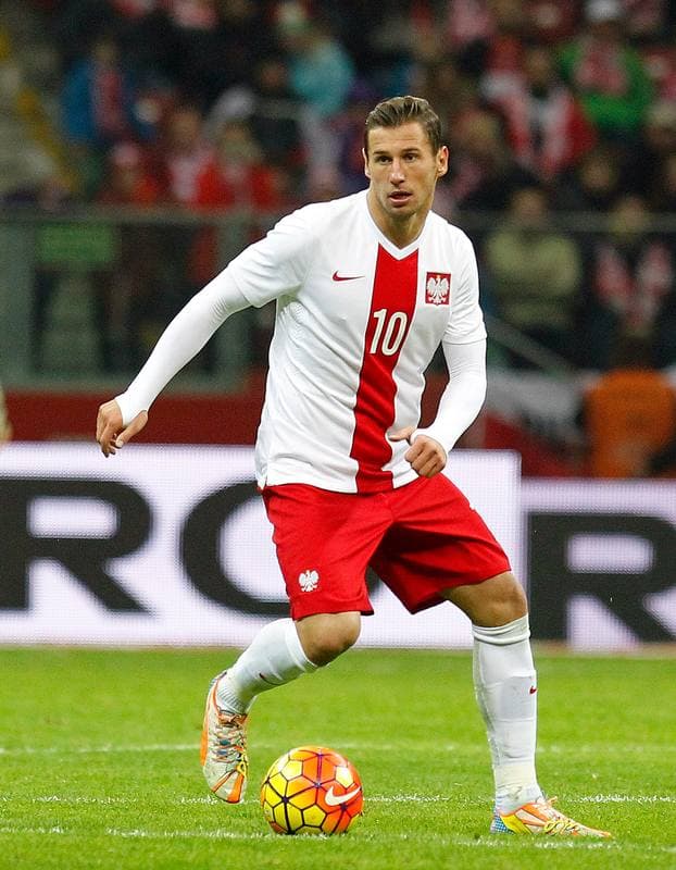 Football. International Friendly. Poland - Iceland. 13.11.2015