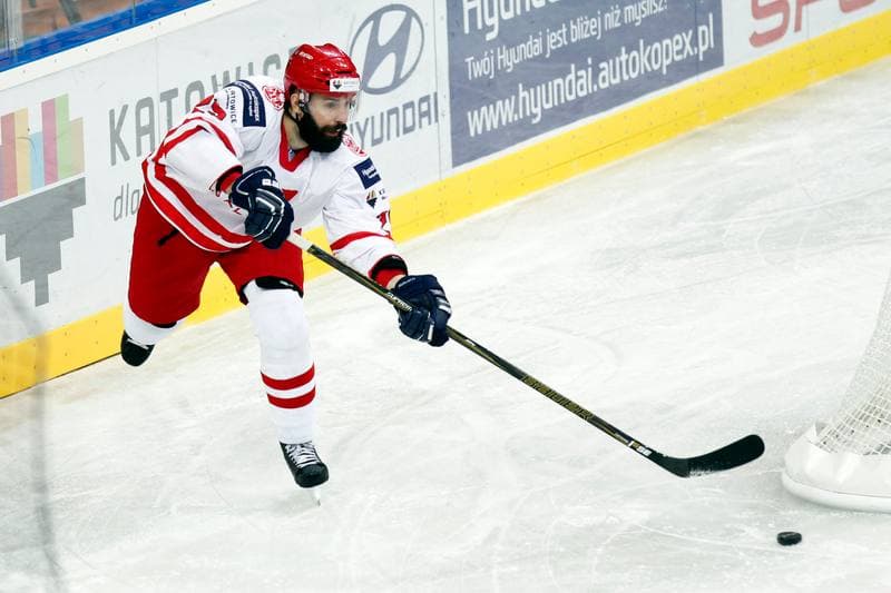 Ice Hockey. Friendly Match. Poland - Stars of PHL. 06.02.2016