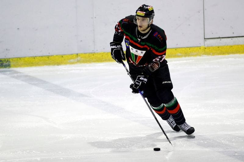 Ice Hockey. Tauron Hokej Liga. Polonia Bytom - GKS Tychy. 23.02.2016