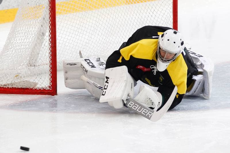 Ice Hockey. Polska Hokej Liga. JKH GKS Jastrzebie - KH GKS Katowice. 13.09.2016