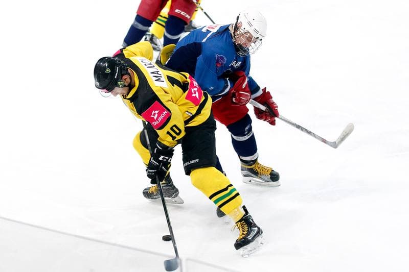 Ice Hockey. PHL. KH Tauron GKS Katowice - SMS PZHL Sosnowiec. 13.01.2017