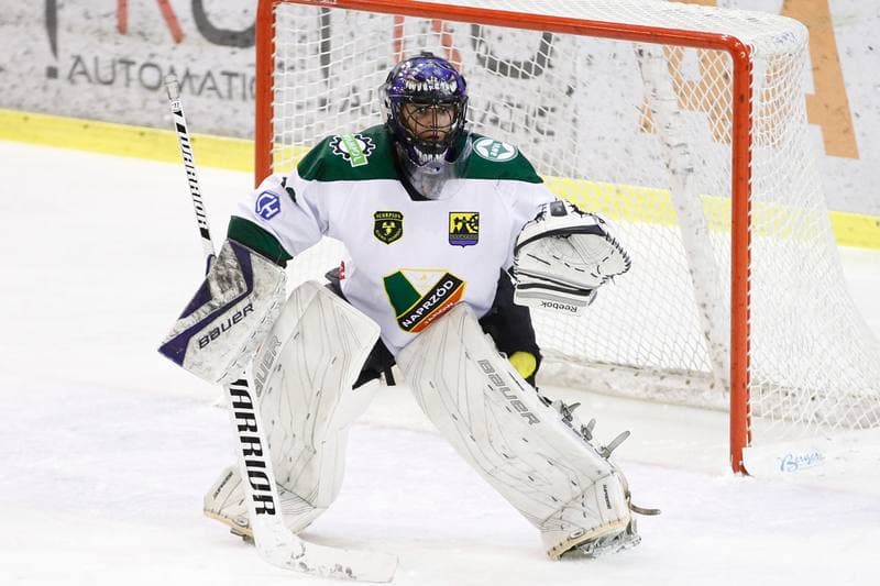 Ice Hockey. I Liga. Naprzod Janow - Zaglebie Sosnowiec. 12.03.2017