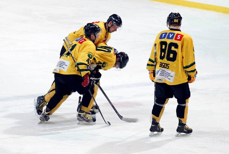 Ice Hockey. Tauron Hokej Liga. HC GKS Katowice - Polonia Bytom. 02.01.2015