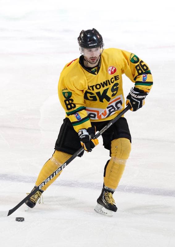 Ice Hockey. Polska Hokej Liga. HC GKS Katowice - Aksam Unia Oswiecim. 10.01.2014