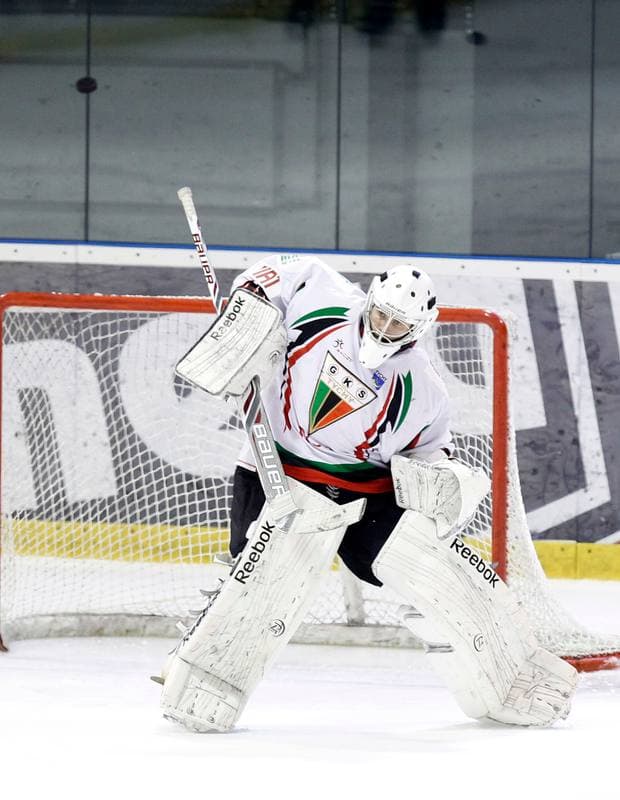 Ice Hockey. Polska Hokej Liga. GKS Tychy - Comarch Cracovia Krakow. 19.01.2014