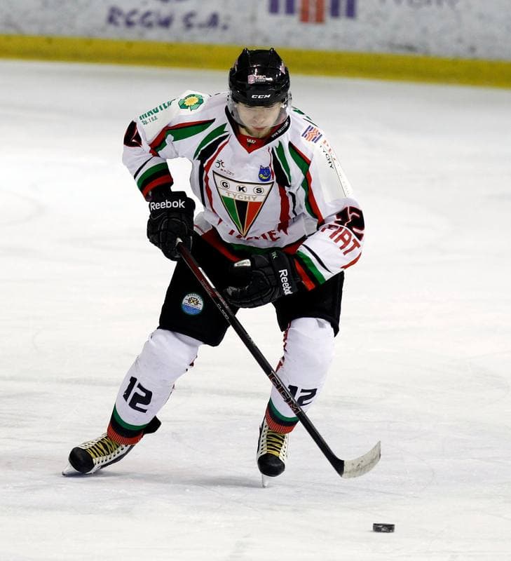 Ice Hockey. Polska Hokej Liga. GKS Tychy - Ciarko KH Sanok. 23.01.2015