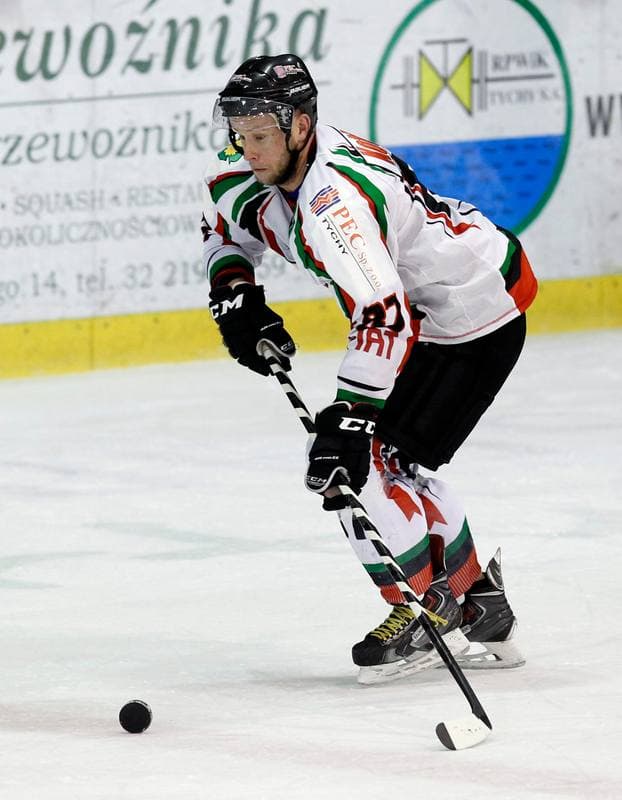 Ice Hockey. Polska Hokej Liga. GKS Tychy - Ciarko KH Sanok. 23.01.2015