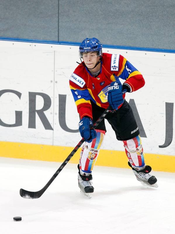 Ice Hockey. Polska Hokej Liga. JKH GKS Jastrzebie - Podhale Nowy Targ. 29.01.2014