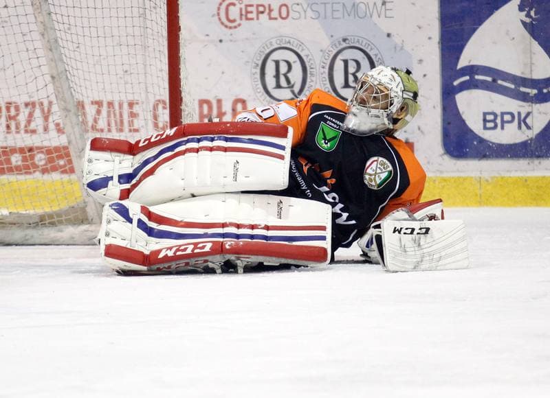 Ice Hockey. Polska Hokej Liga. Polonia Bytom - JKH GKS Jastrzebie. 14.12.2014