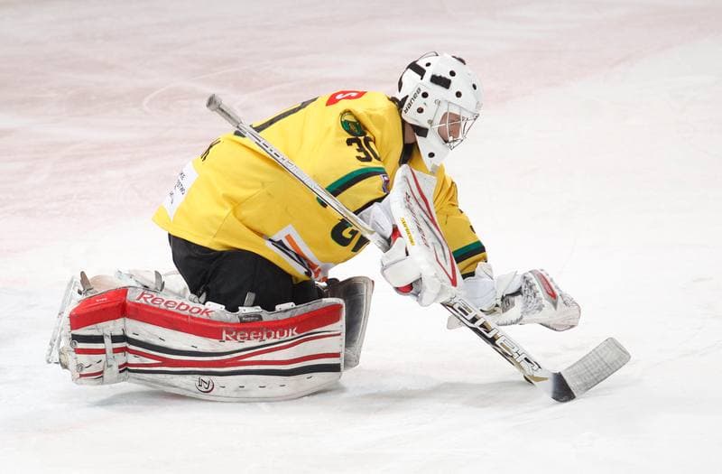 Ice Hockey. Polska Hokej Liga. HC GKS Katowice - KTH Krynica. 21.02.2014