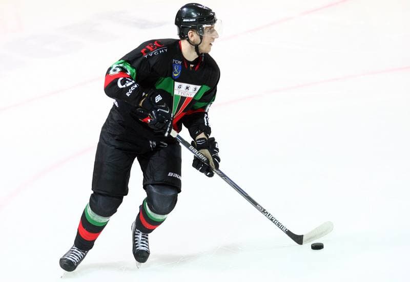 Ice Hockey. Polska Hokej Liga. HC GKS Katowice - GKS Tychy. 11.01.2015