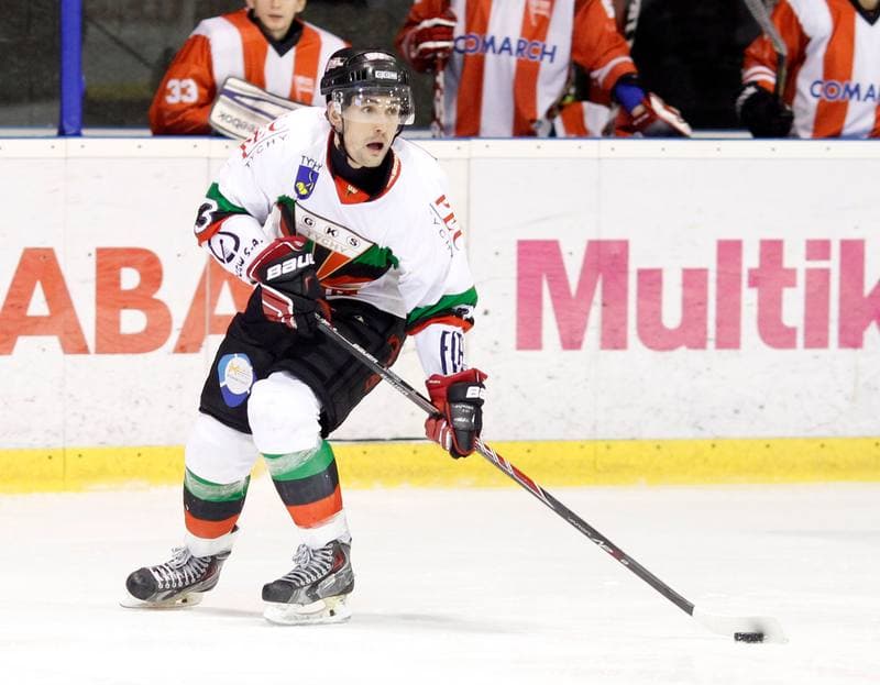 Ice Hockey. Polska Hokej Liga. GKS Tychy - Comarch Cracovia Krakow. 19.01.2014