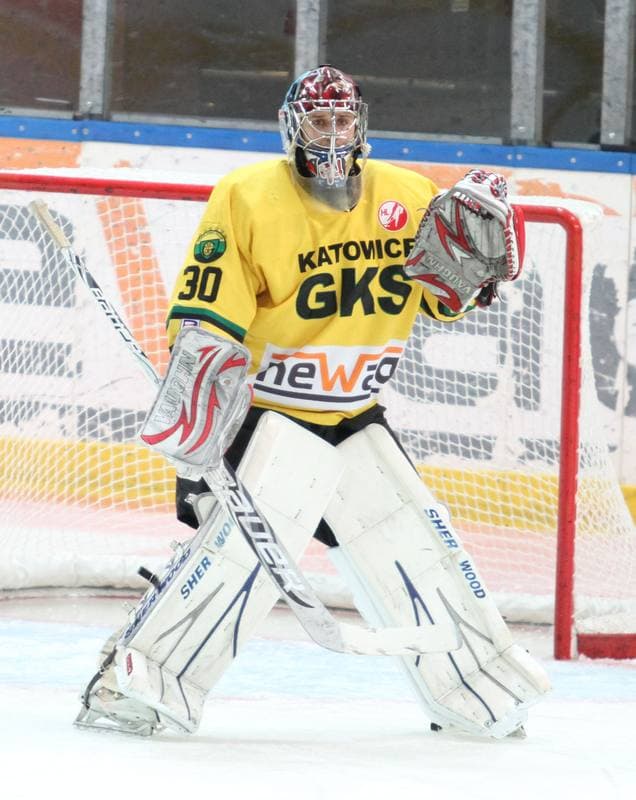 Ice Hockey. Polska Hokej Liga. HC GKS Katowice - GKS Tychy. 11.01.2015
