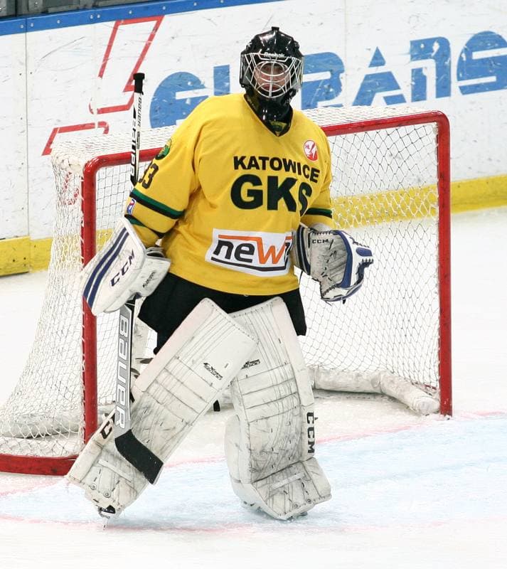 Ice Hockey. Tauron Hokej Liga. HC GKS Katowice - Podhale Nowy Targ. 04.01.2015