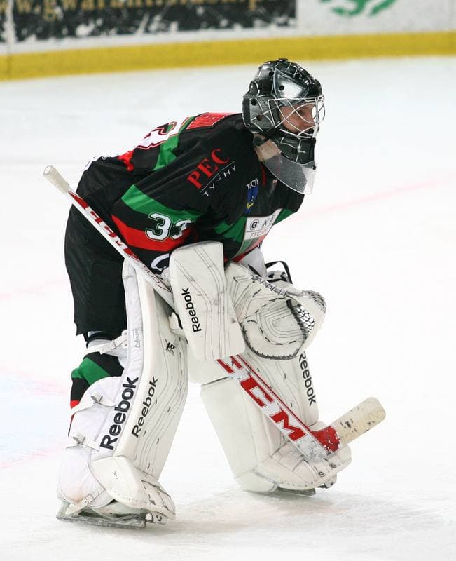 Ice Hockey. Polska Hokej Liga. HC GKS Katowice - GKS Tychy. 11.01.2015