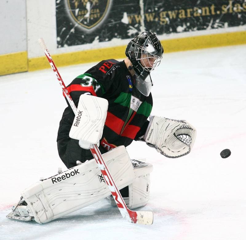 Ice Hockey. Polska Hokej Liga. HC GKS Katowice - GKS Tychy. 11.01.2015