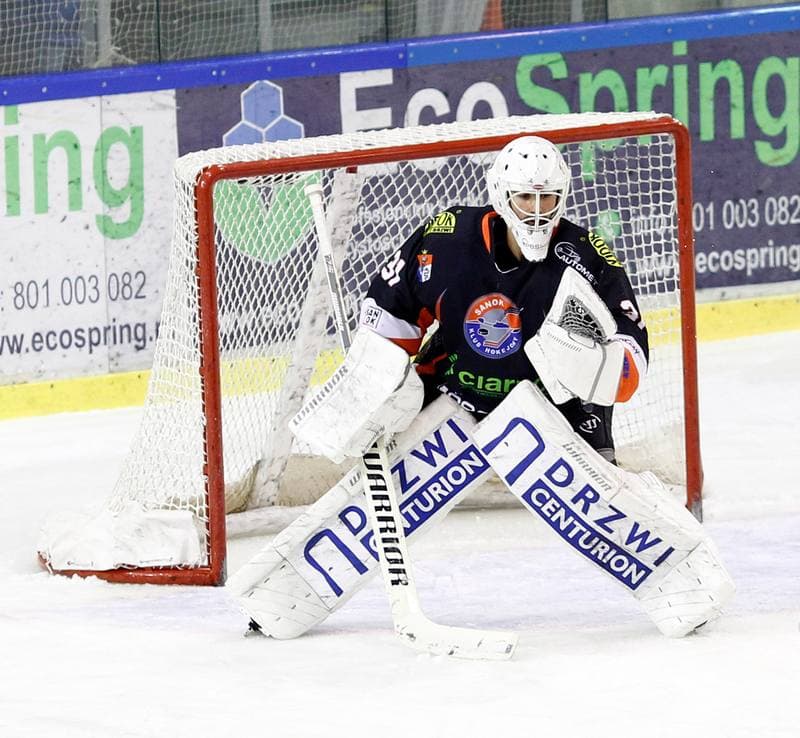 Ice Hockey. Polska Hokej Liga. Naprzod Janow - Ciarko KH Sanok. 18.01.2015