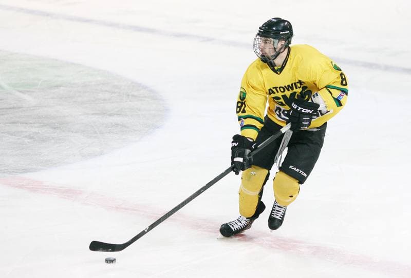 Ice Hockey. Polska Hokej Liga. HC GKS Katowice - Orlik Opole. 27.01.2015
