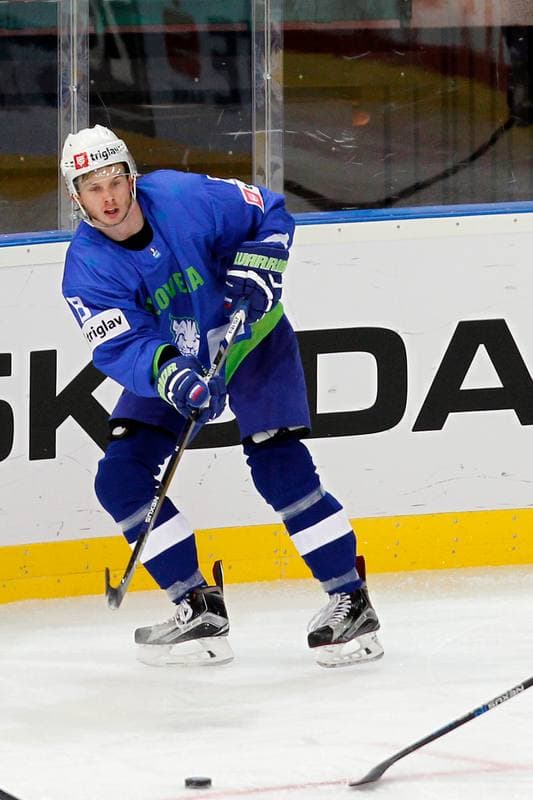 Ice Hockey. World Championship Division 1A. Slovenia - Italy. 24.04.2016