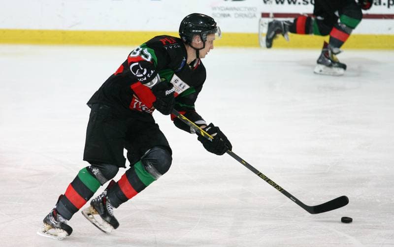 Ice Hockey. Polska Hokej Liga. HC GKS Katowice - GKS Tychy. 11.01.2015