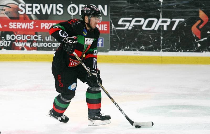 Ice Hockey. Polska Hokej Liga. HC GKS Katowice - GKS Tychy. 11.01.2015
