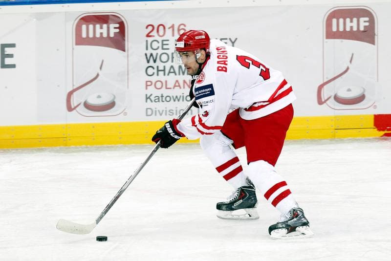 Ice Hockey. Friendly Match. Poland - Stars of PHL. 06.02.2016