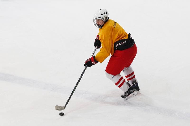 Ice Hockey. Women's National Team. Training. 30.03.2016