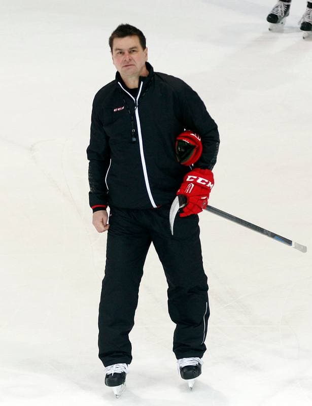 Ice Hockey. Poland national team. Training. 13.04.2016