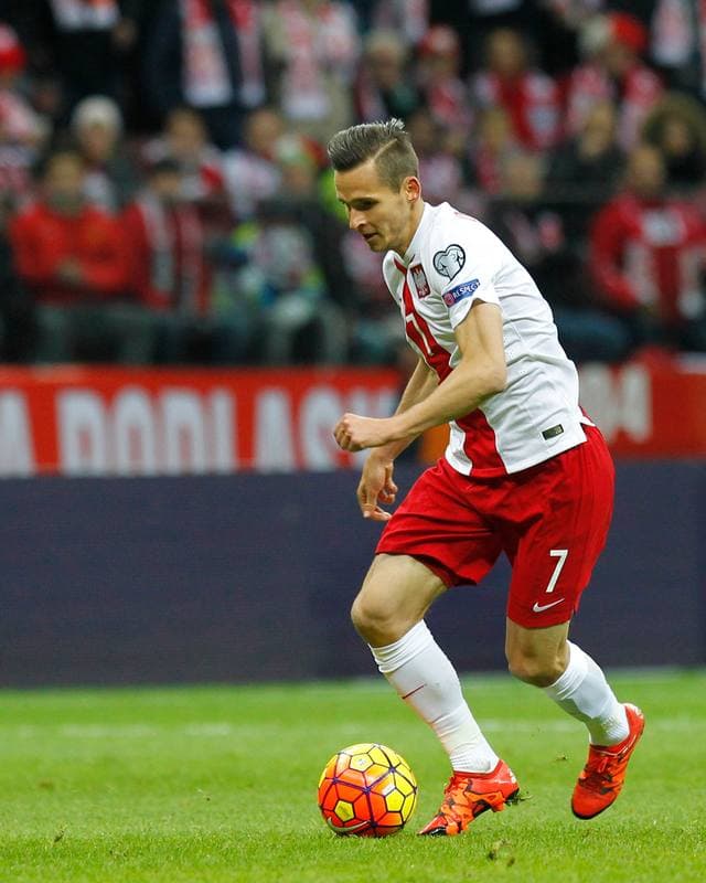 Football. UEFA Euro Qualifiers. Poland - Ireland. 11.10.2015