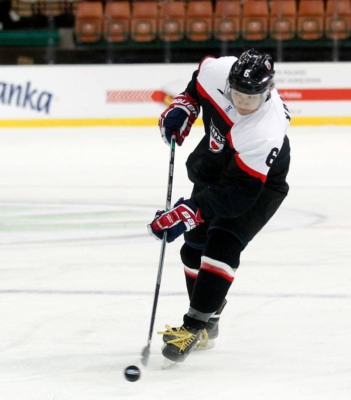 Ice Hockey. World Championship Division 1A. Japan - Slovenia. 23.04.2016