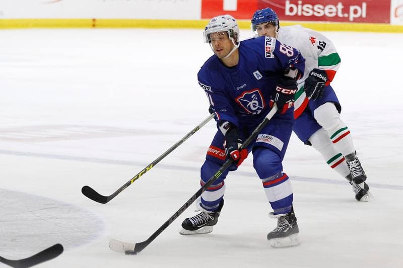 Ice Hockey. EIHC. France - Italy. 18.12.2015
