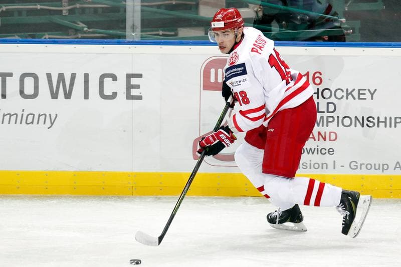 Ice Hockey. Friendly Match. Poland - Stars of PHL. 06.02.2016