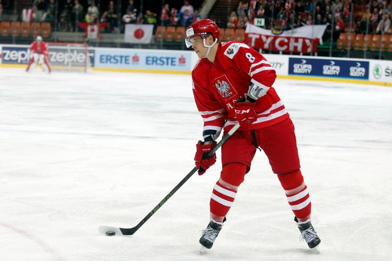 Ice Hockey. World Championship Division 1A. Poland - Japan. 29.04.2016