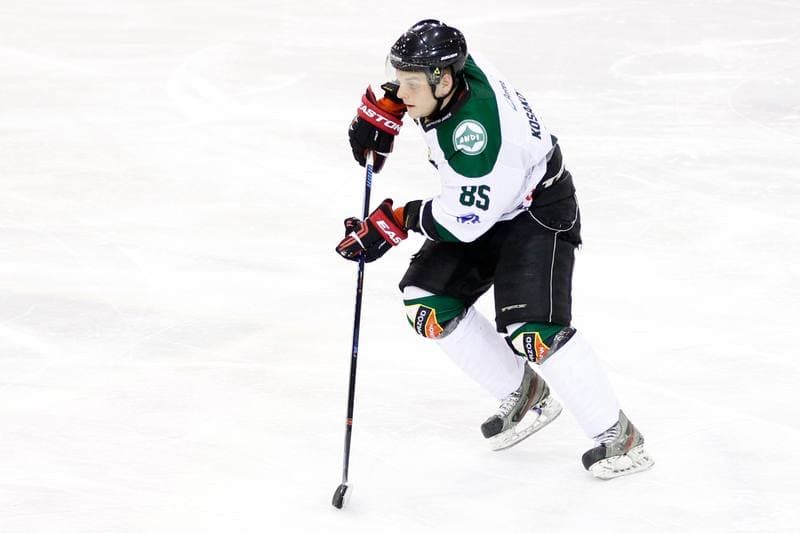 Ice Hockey. I Liga. Naprzod Janow - Zaglebie Sosnowiec. 22.01.2017