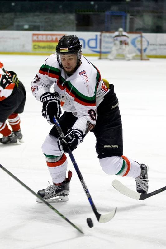 Ice Hockey. Polska Hokej Liga. GKS Tychy - Comarch Cracovia Krakow. 26.01.2016